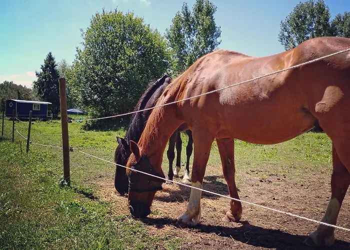 La Roulotte Du Moulin De Palet *